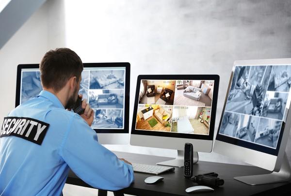 Captured photography depicting a intruder